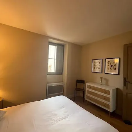 Vue Rhone & Serenite Apartment